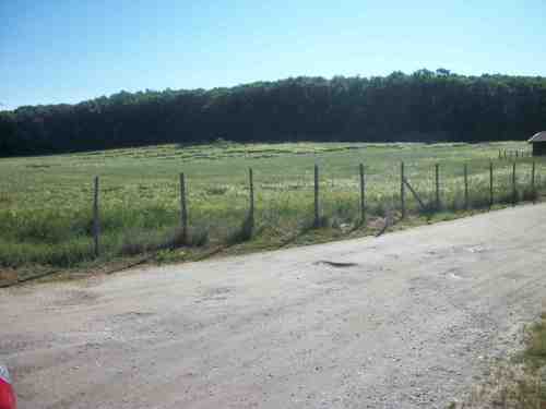 il crop circle dalla via reatina