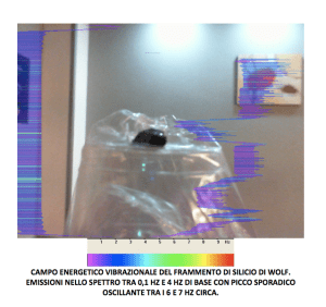 Foto Gulla' frammento Wolf