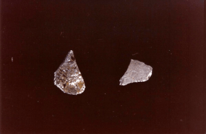 Due frammenti del dottor Wolf. 