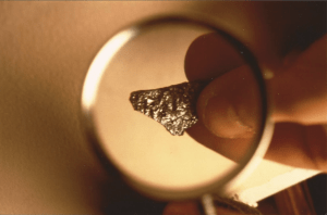 Un frammento del dottor Wolf (Foto Pietro Ponzo). 