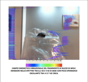 Il silicio di wolf GULLA' 1