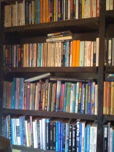 Alcuni scaffali dell'ampia biblioteca. (Foto: Maurizio Baiata) 