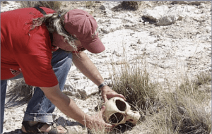 L'archeologo Bill Doleman, Università di Albuquerque, New Mexico, ha guidato due operazioni di scavo al Foster Ranch alla ricerca di reperti derivati dal Roswell crash. Nel 2007 ha trovato la pistola fumante, ma è uno scherzo... 